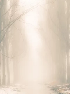 снег, деревья, дорога, туман