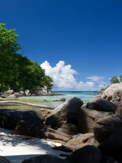 море, камни, зелень, пляж