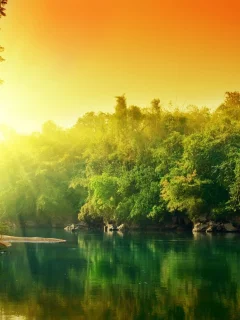 вода, солнце, деревья, красочно, отражение