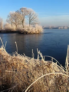 зима, лед