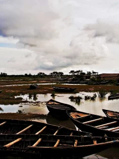 tide, waiting