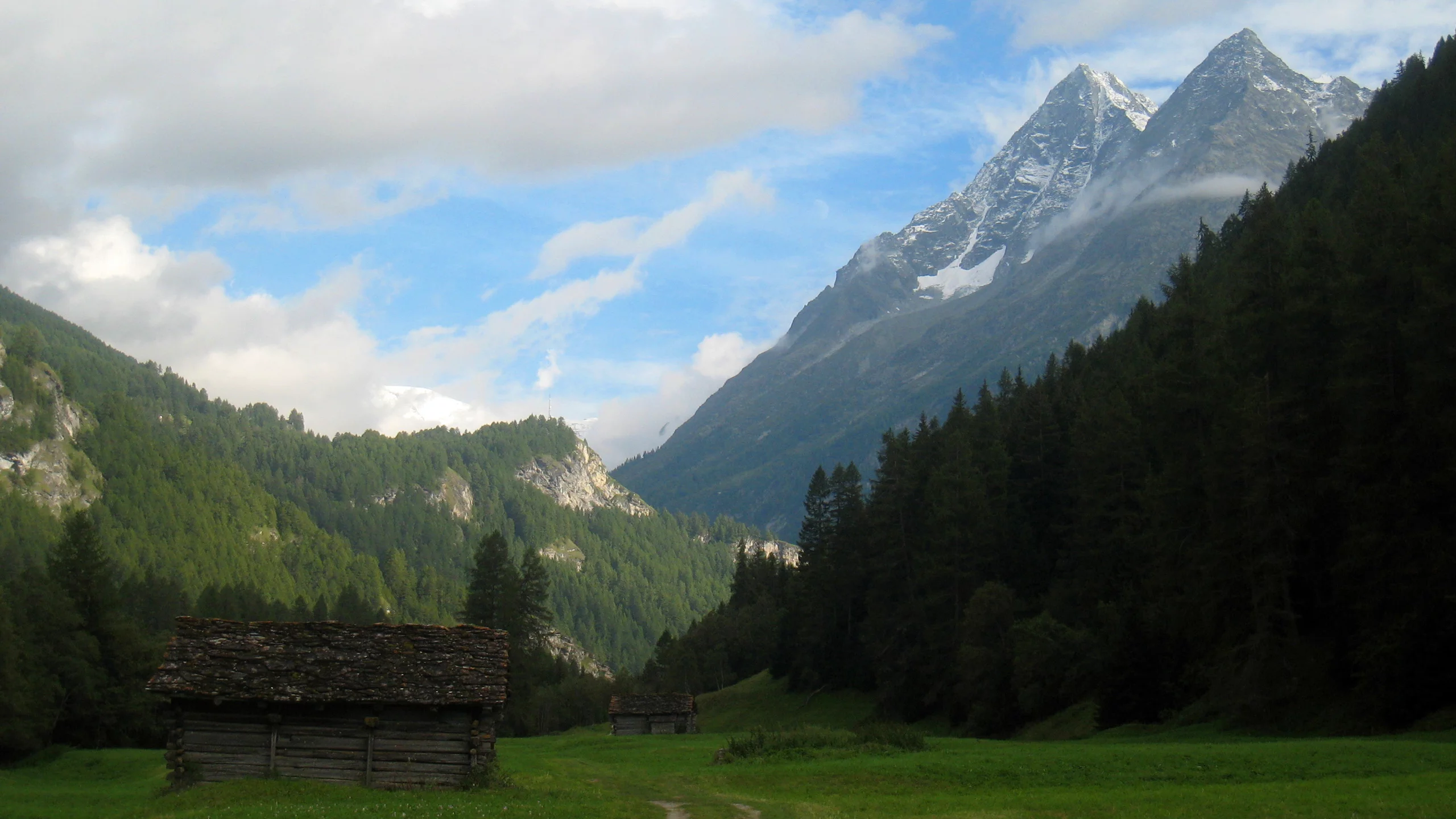 лес, домик, горы