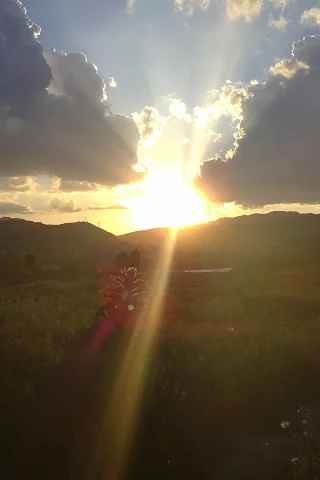 Чёрная икра, солнце, Ferarri