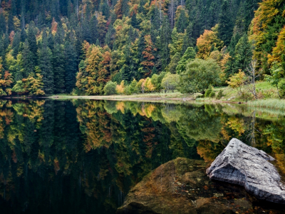 отражение, вода, деревья, лес, пейзаж, озеро, камень, берег, осень