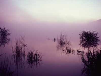 тумане, надежды, в, озеро