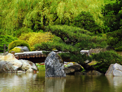 мост, японский сад, камень, япония
