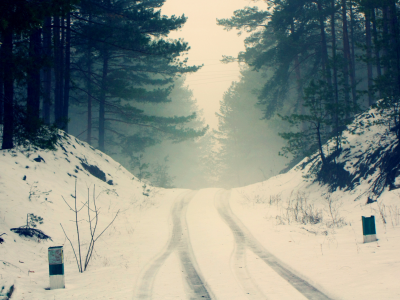снег, туман, дымка, следы колес, зима, тишина, ветки, лес, холодно, дорога, силуэты, деревья, природа, мороз, сосны
