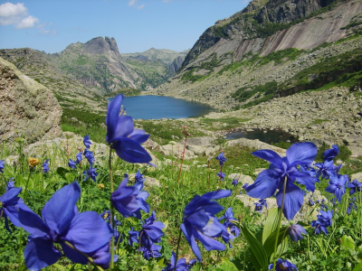 горы, озеро, цветы