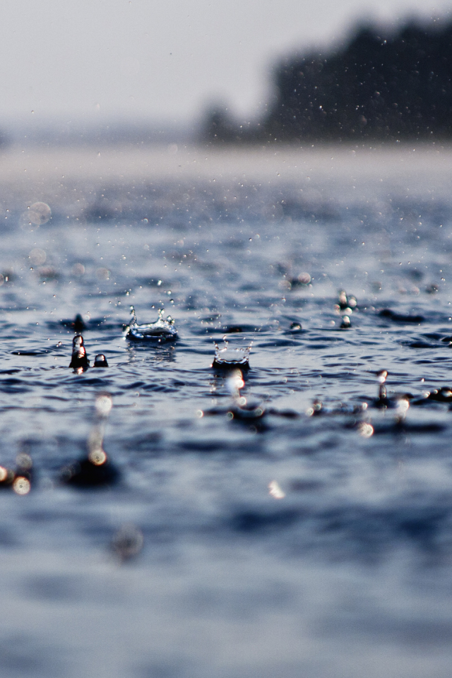 мокро, макро обои, дождь, вода, дожди, капли, капля, ливни, ливень