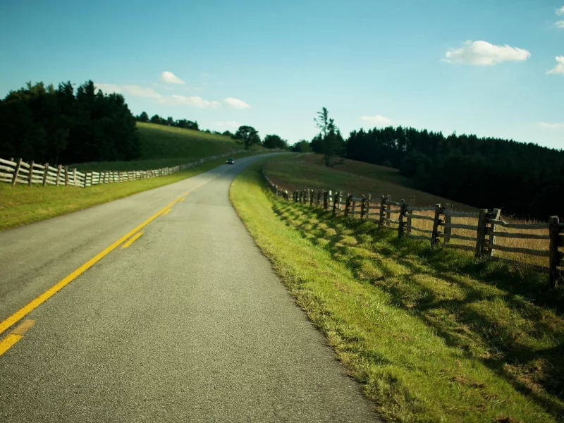 road, line, nature