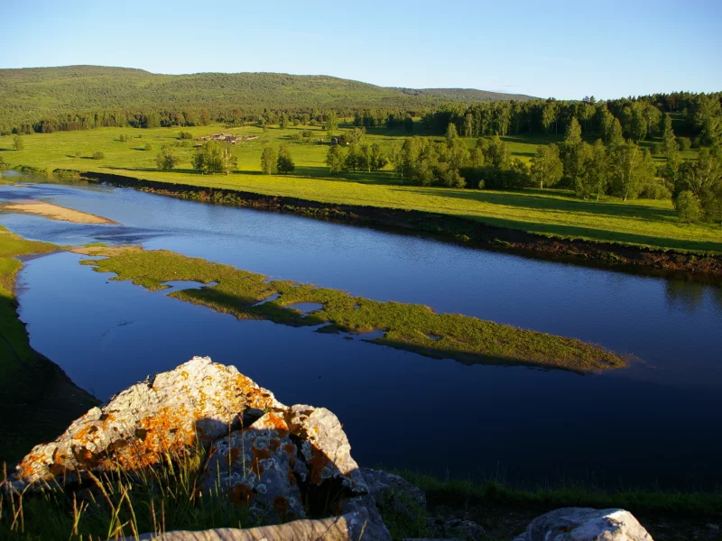 лес, река, поле