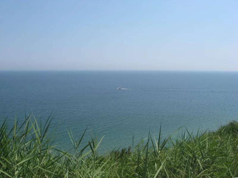 горизонт, вода, зелень, трава, море, небо, катер
