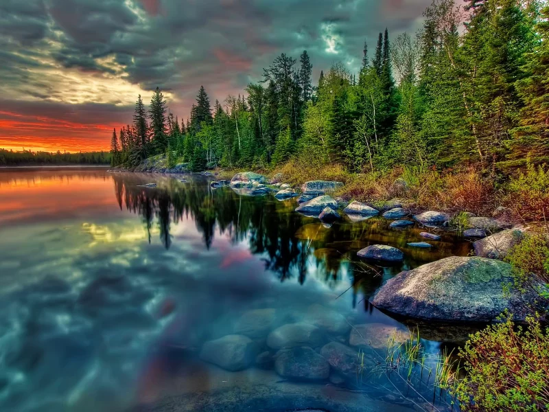 берег, ель, камни, природа, лес, деревья