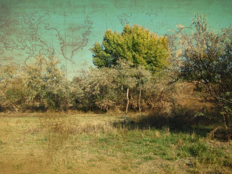 Природа, Карта, Мир