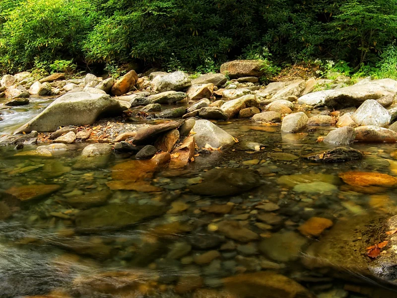 река, поток, камни, вода