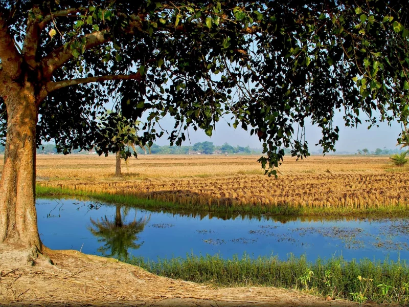 blue sky, landscape