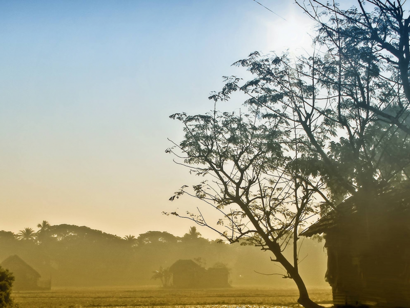 fog, morning