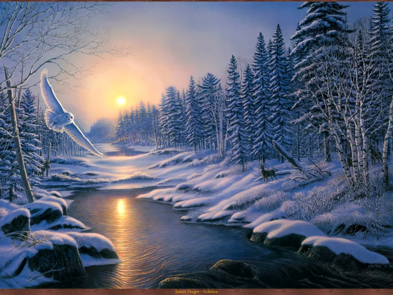 птица, природа, солнце, сугробы, сова, зима, река, снег