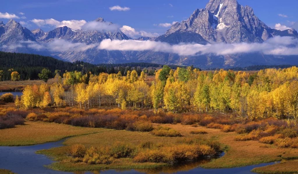 горы, облака, осень, деревья