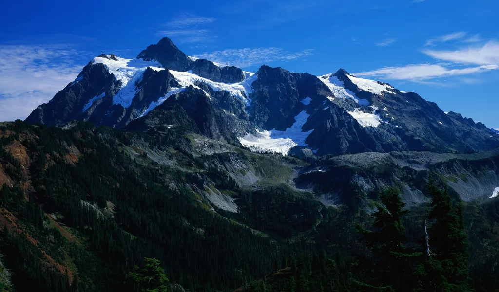 лес, панорама, небо, горы, снег