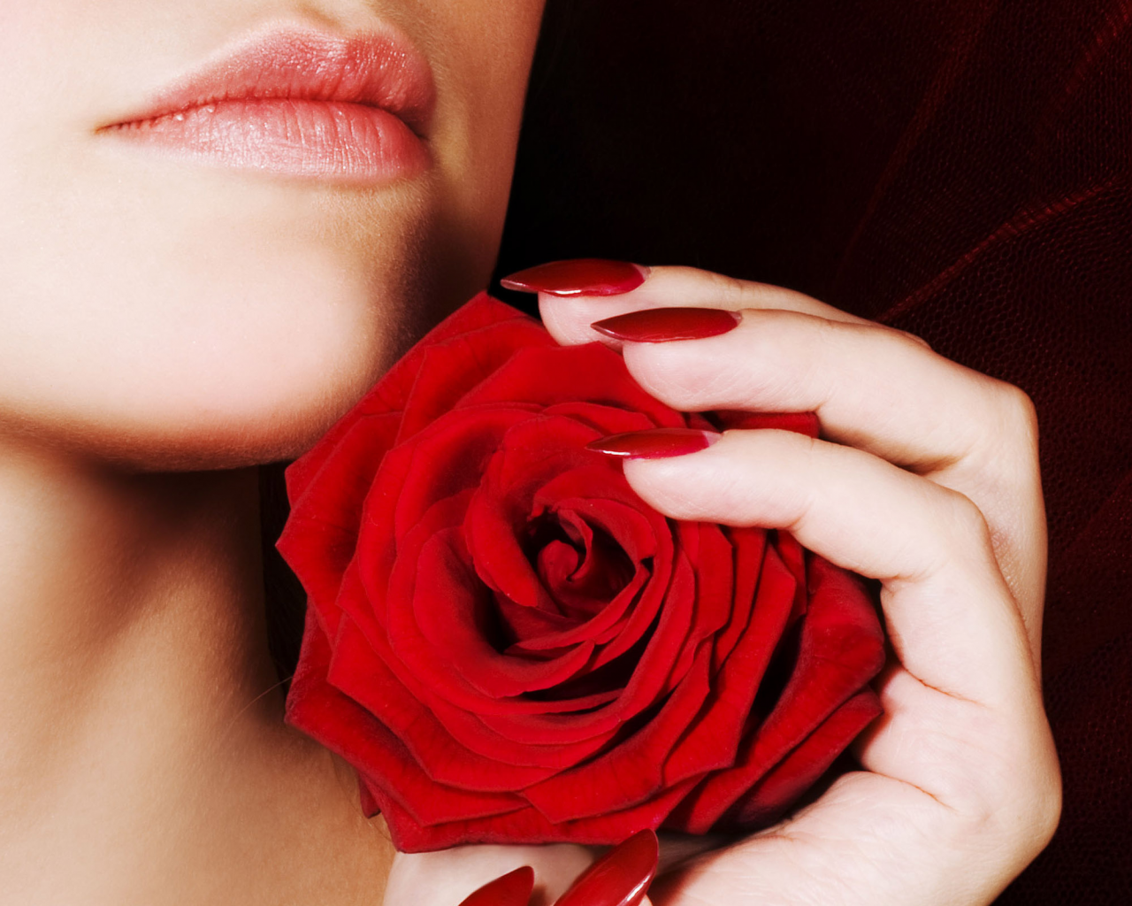 ногти, губы, девушка, роза