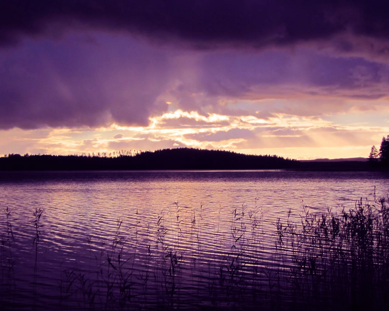 фиолетовая, вода