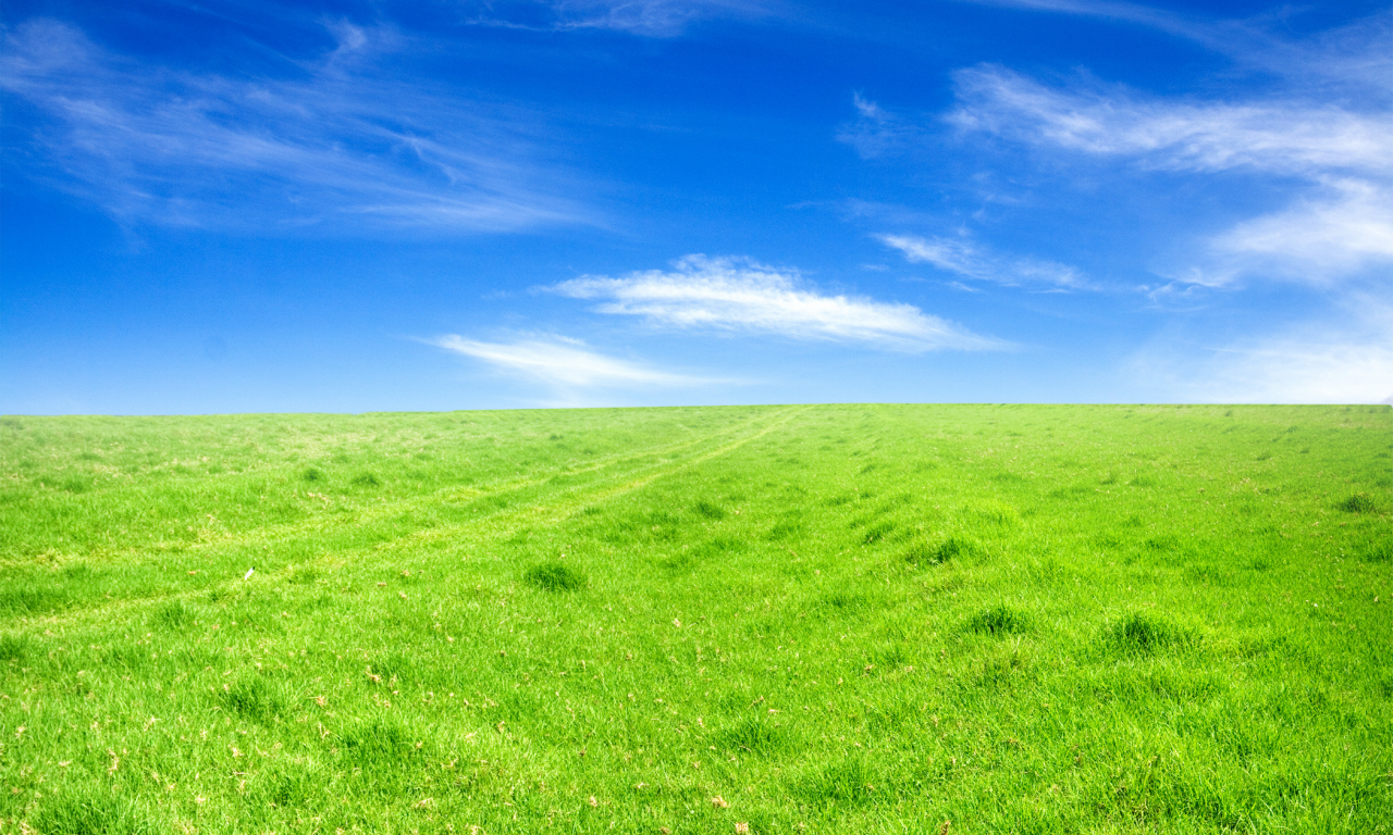 красивые обои, поля, пейзажи, фон, небо, поле, трава