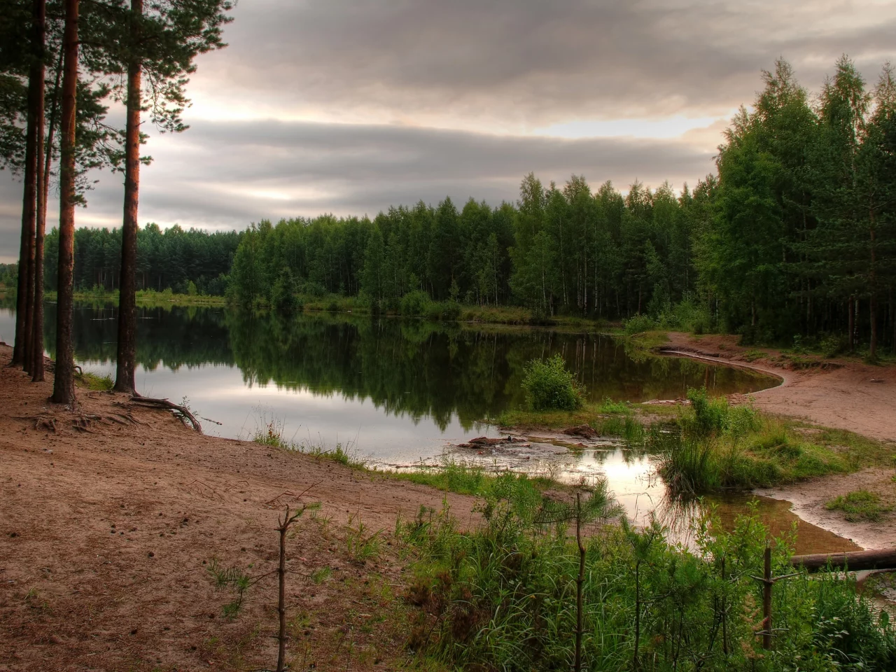 лес, водоем, небо