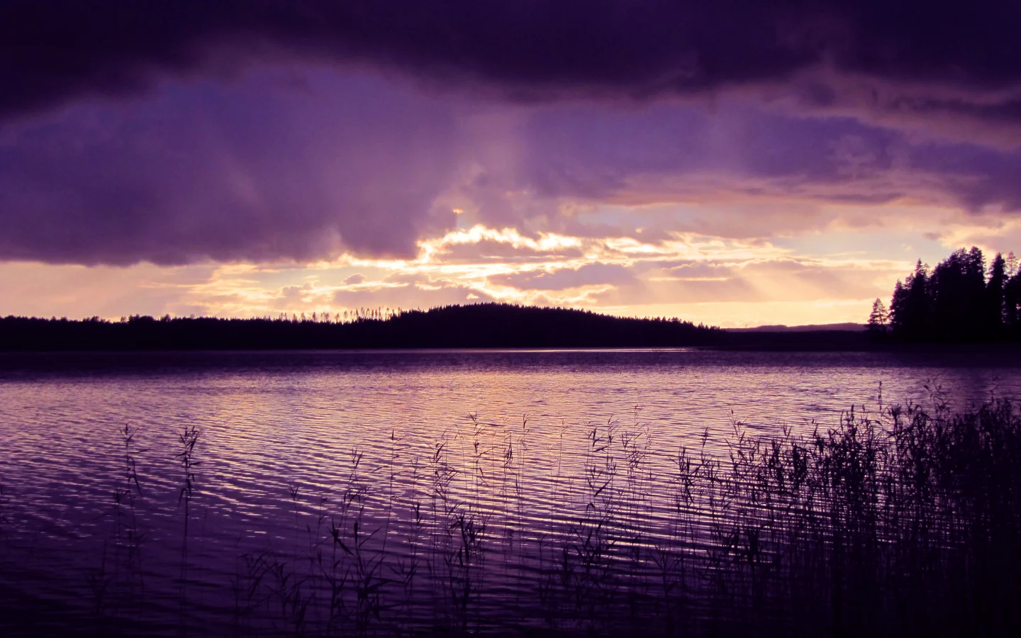 фиолетовая, вода