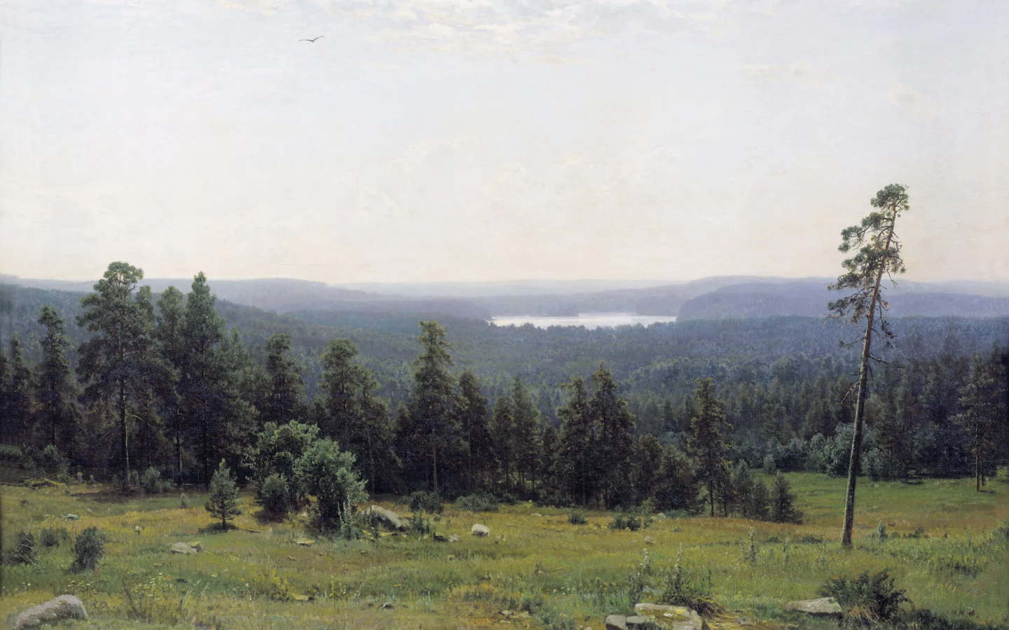 картина, лесная даль, шишкин
