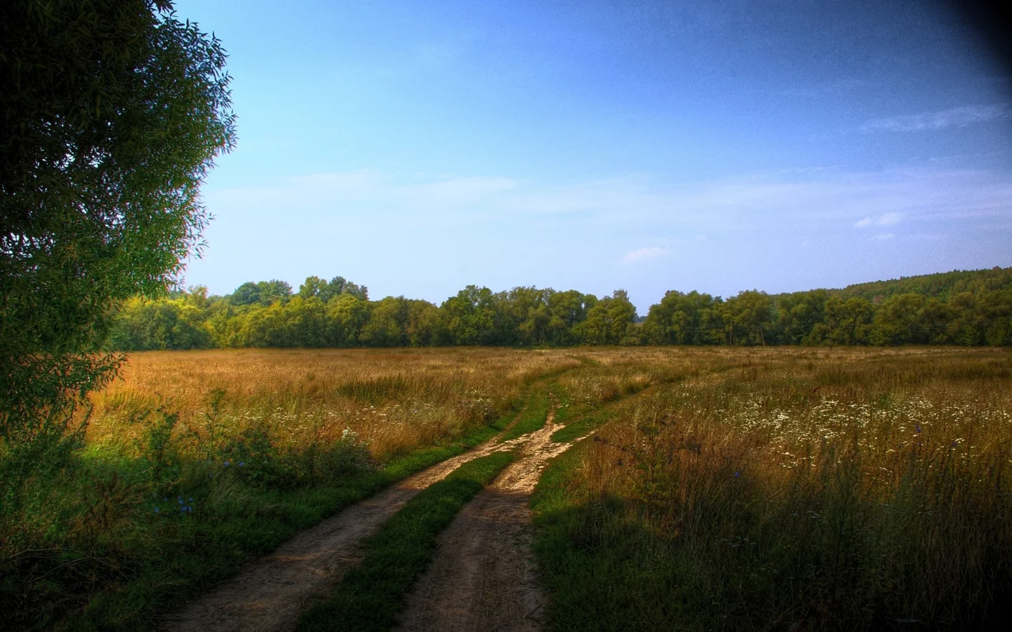 пейзаж, дорога
