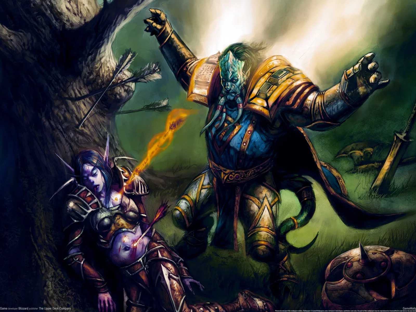 видео игры, game, pc games, компьютерные игры, игра, World of Warcraft: Trading Card Game