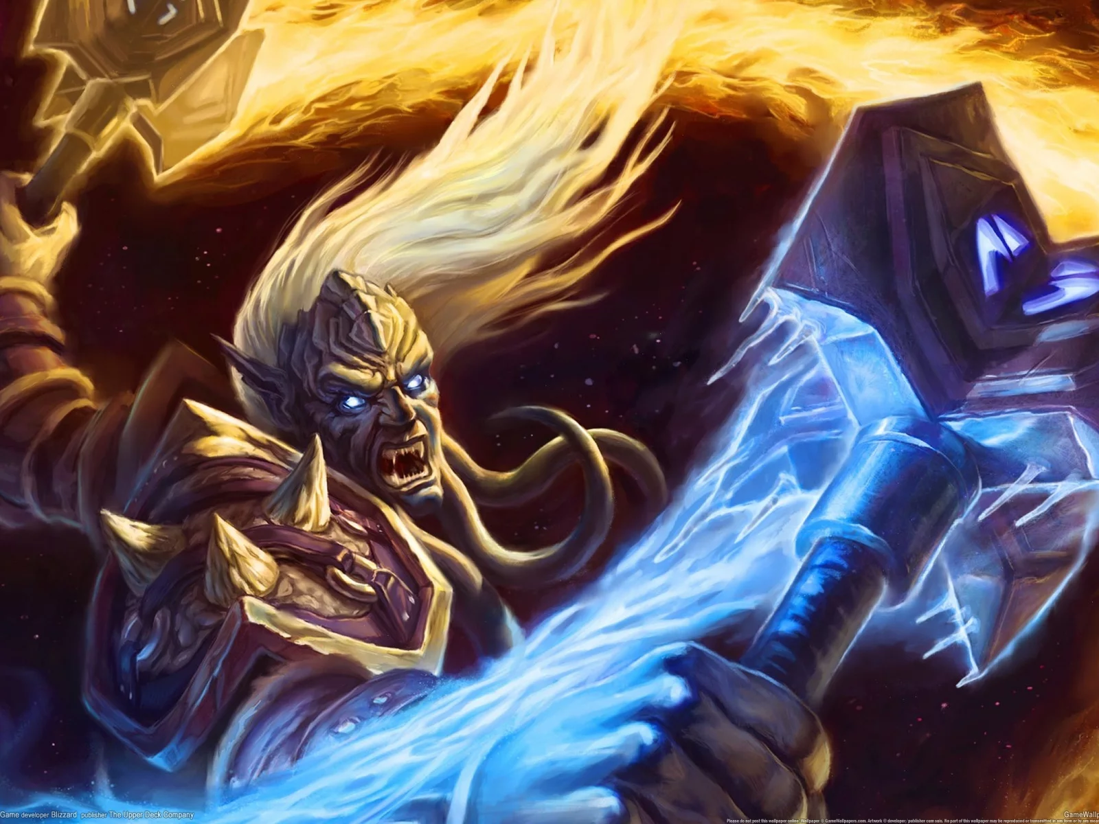 game, pc games, видео игры, World of Warcraft: Trading Card Game, игра, компьютерные игры