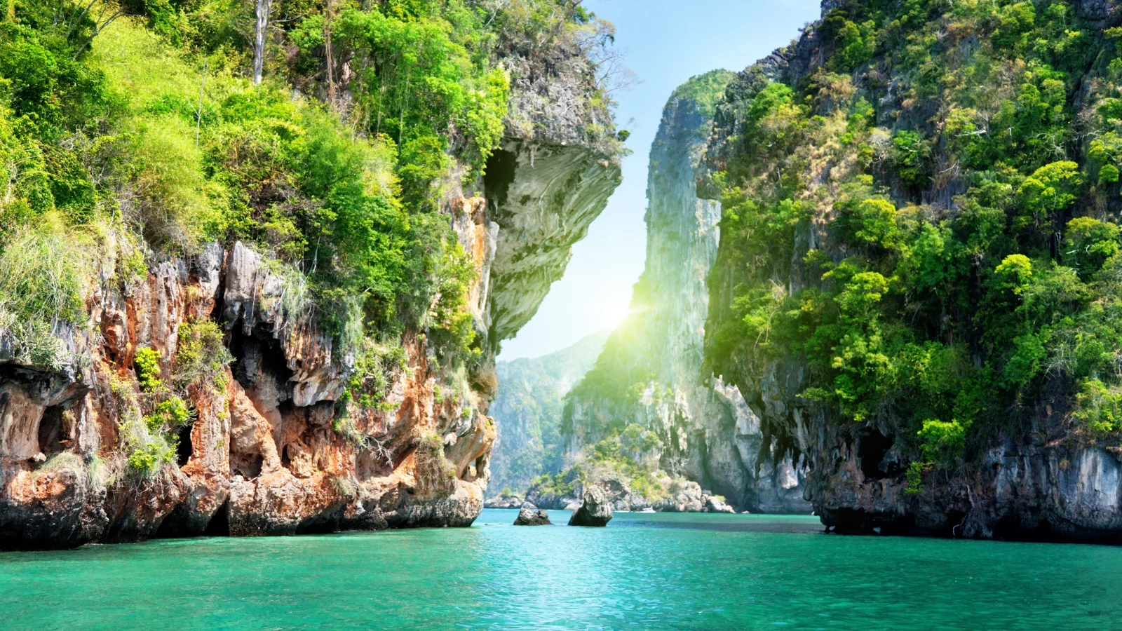 вода, пейзаж, океан, море, деревья, природа, скалы