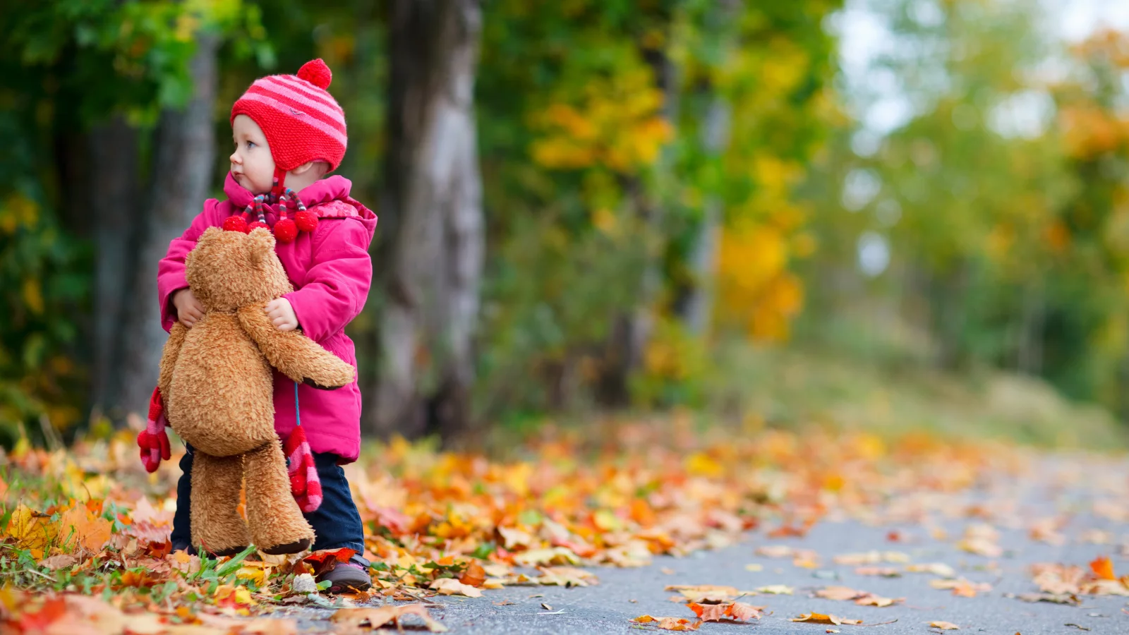 childhood, teddy bear, осень, одинокую, trees, Обои little girl, ребенок, дети, маленькая девочка, дорога, road, lonely, autumn, children, child, деревья, плюшевого мишку, детство