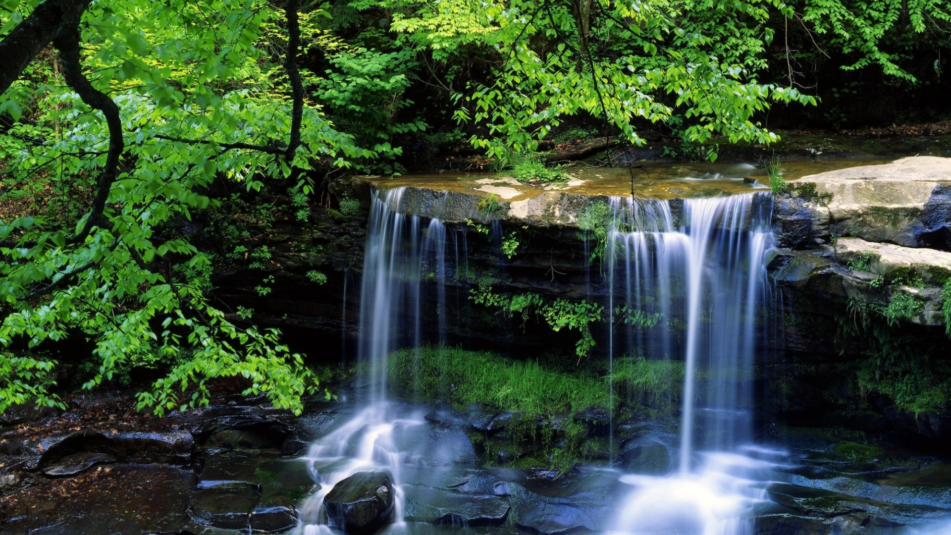 Как установить фон телефона. Водопады. Лесной водопад. Живая природа.