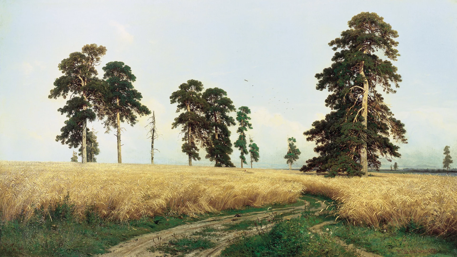 картина, шишкин, рожь, сосна