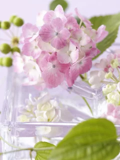 ваза, цветы, стекло, лепестки, листья