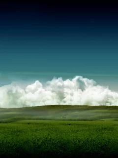 небо, трава, поле