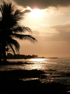 отдых, море, пляж