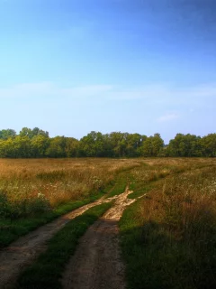 пейзаж, дорога