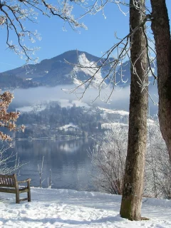 река, скамейка, деревья, зима