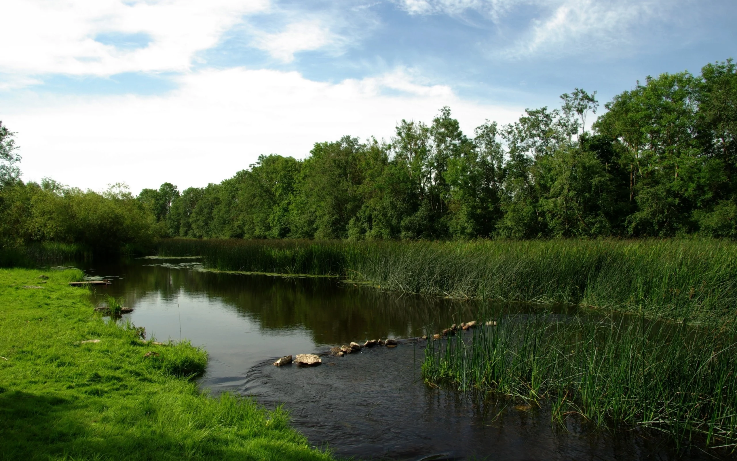 луг, перекат, река