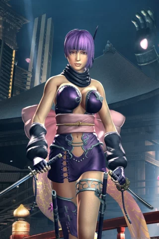 game, Ninja Gaiden Sigma 2, видео игры, игра, pc games, компьютерные игры