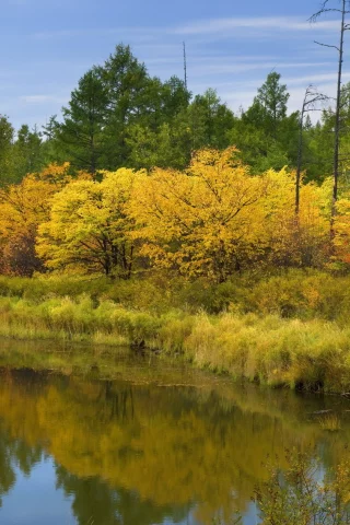облака, лесю река, вода, осень, небо