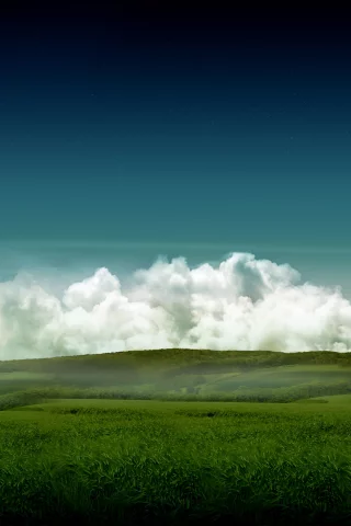небо, трава, поле
