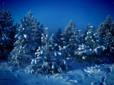 снег, зима, синий, деревья, елки