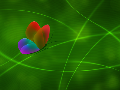 зеленый, линии, цвет, бабочка
