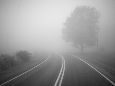 пустота, дорога, туман, дерево