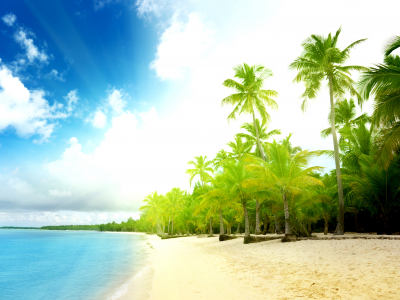 вода, пальмы, солнце, пейзажи, океан, песок, пляж, волны, берег, море, небо, облака, лето
